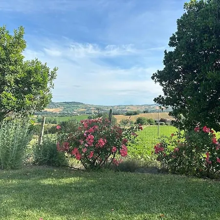 Lovely In Recanati *
